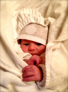 Its so easy to snuggle down when you are 12 days old!