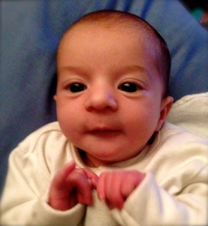 We have been teaching Nisha the wonder of Aardman animation’s finest.